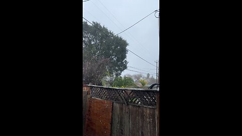 Still raining in Santa Cruz
