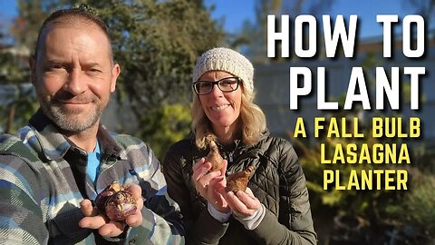 How to Plant a Fall Lasagna Planter | Bulb Lasagna 🌷🌿