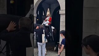 Tourist pat's the horse touch much #horseguardsparade