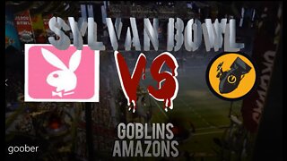 Blood Bowl: Amazons vs Goblins