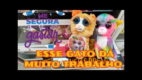 NÃO TENHO SORTE COM GATO FEISTY, DEU TRABALHO MAS VEIO 😤😠😤