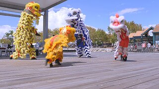 Lion Dance Drumming Chung Wah CNY Sorrento Beach Chinese New Year Australia.