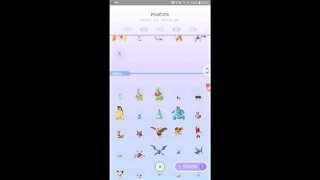 Live Pokémon GO - Hora do Holofote