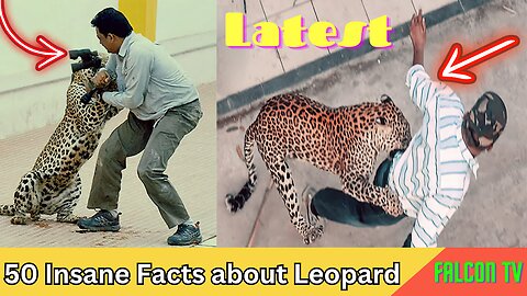 50 Roarsome Leopard Facts That Will Leave You Feline Curious