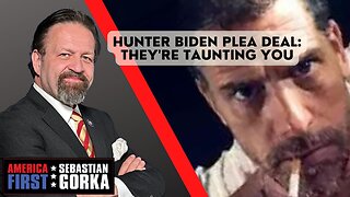 Hunter Biden plea deal: They're taunting you. Chris Stigall with Sebastian Gorka on AMERICA First