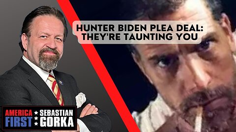 Hunter Biden plea deal: They're taunting you. Chris Stigall with Sebastian Gorka on AMERICA First