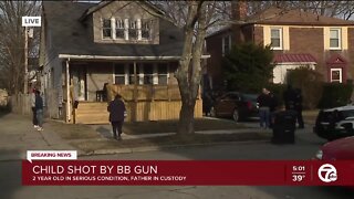 2-year-old in hospital after being shot by high-powered BB gun
