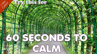 60 seconds to calm