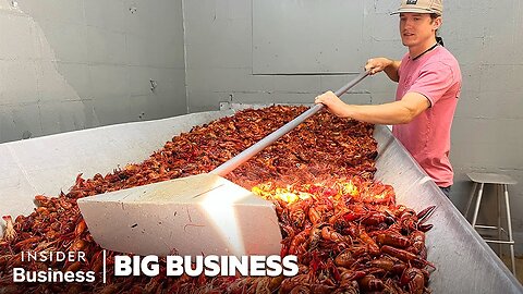 How A Louisiana Crawfish Company Harvests 60,000 pounds A Day | Big Business | Global Insight News