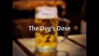 The Dog's Dose