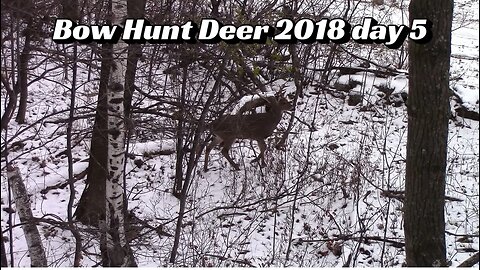 Bow Hunt Deer 2018 day 5