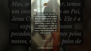 1 João 2,1-2 - Filhinhos meus, isto vos escrevo para que não pequeis. Mas, se alguém pecar, temos um