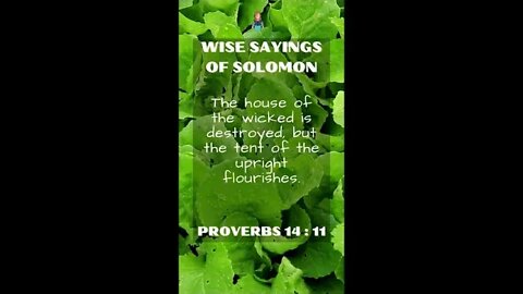 PROVERBS | Chapter 14:11 | Wise Sayings of Solomon