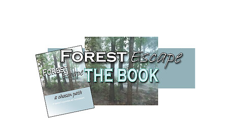 The Book and the Journey: Forest Escape a chosen path