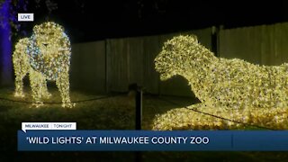 Wild Lights returns to Milwaukee County Zoo