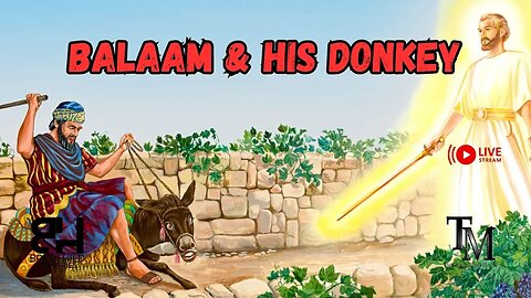 Balaam and His Donkey - Live Service - Pastor Brian Hild