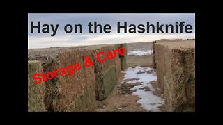 Hay! | Storage and Care | Hashknife Ranch