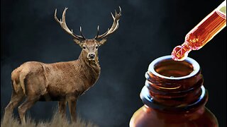 ❤ 🩹Health OUTSIDE The Box! Dr. Fong On POWERFUL Healing Properties Of Deer Antler Velvet!❤ 🩹