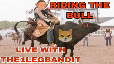 $SHIB Riding the BULL with The1legbandit LIVE