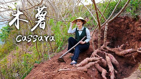 “Tracking the Roots” Bring Sweetness to the Villagers with Boba Tea and Taro Balls Made from Cassava