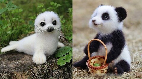 CUTEST ANIMALS IN THE WORLD