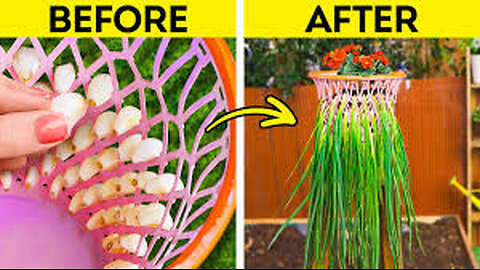 How To Grow Your Own Fresh Food at Home 🌱🏡 Genius Gardening Hacks!