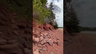 Erosion has wiped out these trees