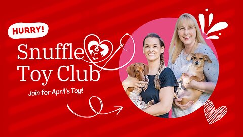 LAST DAY for April Snuffle Toy Club Sign Up