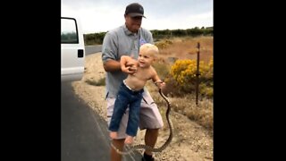 Little Man Grabs Snake and Won't Let Go