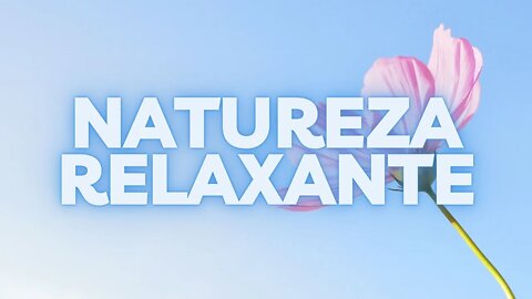 NATUREZA RELAXANTE