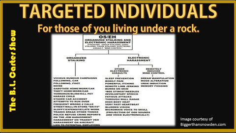 Gang Stalking - Targeted Individuals OVERVIEW - Cyber Torture