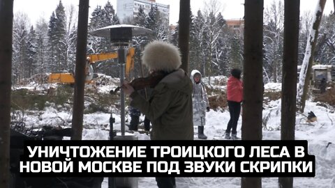 Уничтожение Троицкого леса в Новой Москве под звуки скрипки