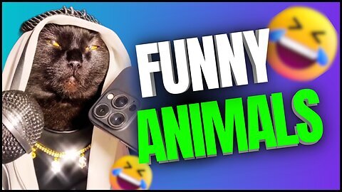 Animal funny video| Animal Comedy video| Animal Viral video| Animal Latest funny video
