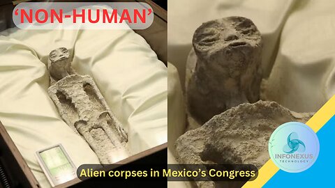 "UFO Expert Presents Alleged 'Non-Human' Alien Corpses at Mexico's Congress"