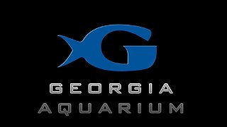 A Dive in the Georgia Aquarium - 23 Oct, 2022