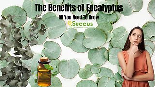 The Benefits of Eucalyptus