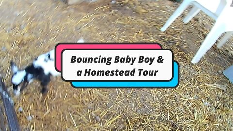 Bouncing Baby Boy and Homestead Tour