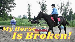 My Horse Is Broken!
