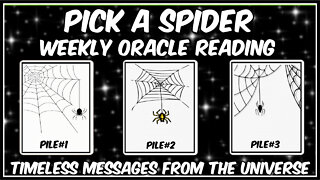 Pick A Card l Weekly Oracle Reading l Messages From The Universe l Timeless Reading 🕷🕸🕷🕸