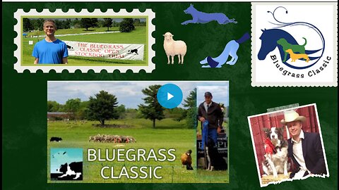 Blue Grass Classic Open Stock Dog Trial, Shepherding competition
