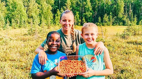 Clearing land for our Greenhouse Build + Picking Cloudberries & Making homemade Jam!