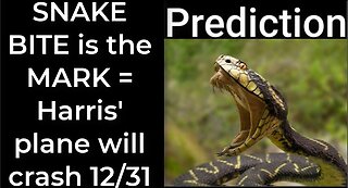 Prediction - SNAKE BITE prophecy = Harris' plane will crash Dec 31
