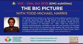 The Big Picture Film - Todd Michael Harris