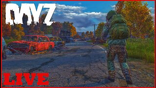 First time playing DayZ