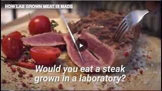 HOW LAB GROWN MEAT IS MADE