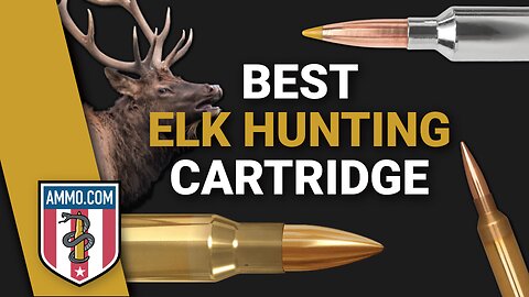 The 8 Best Elk Hunting Cartridges: Bringing Down the Big Bulls