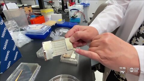 Moffitt Cancer Center sends experiment to the International Space Station