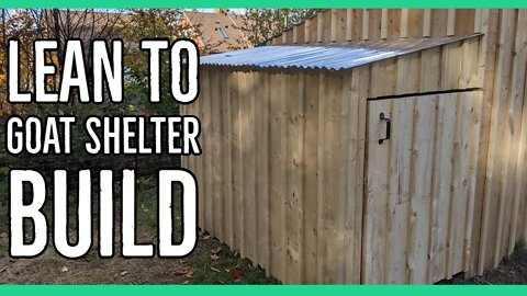 Building a Lean To Shelter For Nigerian Dwarf Goats