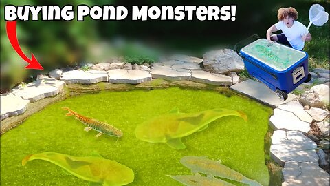 I Bought 100's Of POND MONSTERS For My AQUARIUM!