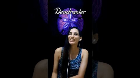 Dendraster - Your Fears | ensaio/home studio - new song 2021